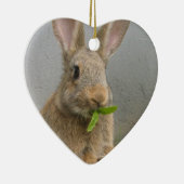Cottontail Rabbit Ornament (Rechts)
