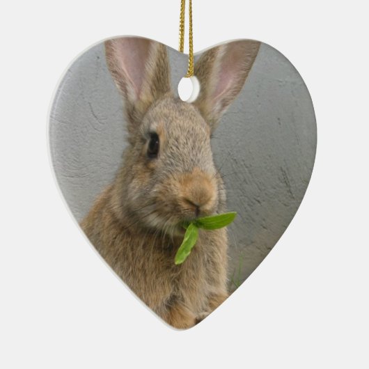 Cottontail Rabbit Ornament (Rechts)