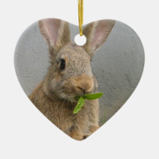 Cottontail Rabbit Ornament (Voorkant)