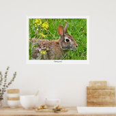 Cottontail Rabbit Print (Keuken)