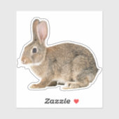 Cottontail Rabbit Sticker (Vel)