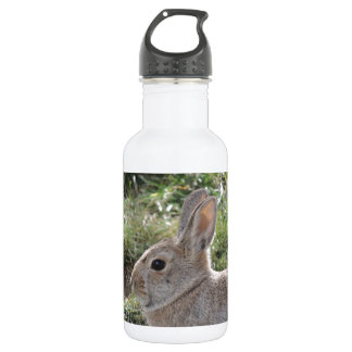 Cottontail Rabbit Waterfles