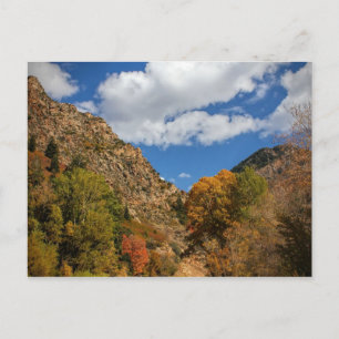 Cottonwood Canyon Schilderachtig Byway Autumn in U Briefkaart