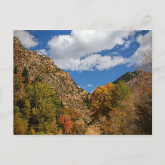 Cottonwood Canyon Schilderachtig Byway Autumn in U Briefkaart