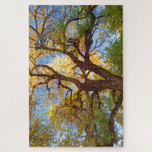 Cottonwood-structuur | Nationaal park Capitol Reef Legpuzzel (Verticaal)
