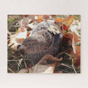 Coturnix Kwartel in de bladeren Legpuzzel