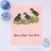 Coturnix Kwartel Kuikens Flyer (Enkel)