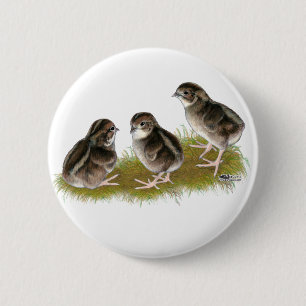 Coturnix Kwartel Kuikens Ronde Button 5,7 Cm