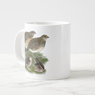 Coturnix Kwartelfamilie Extra Grote Beker