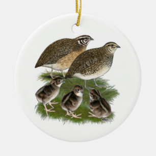 Coturnix Kwartelfamilie Keramisch Ornament