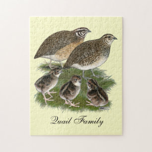 Coturnix Kwartelfamilie Legpuzzel