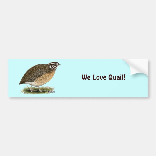 Coturnix Pharaoh Quail Bumpersticker (Voorkant)