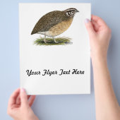 Coturnix Pharaoh Quail Flyer (Hand)