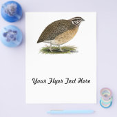 Coturnix Pharaoh Quail Flyer (Enkel)