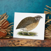 Coturnix Pharaoh Quail Fotoplaat (Zijkant)