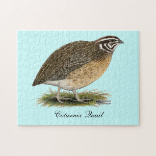 Coturnix Pharaoh Quail Legpuzzel