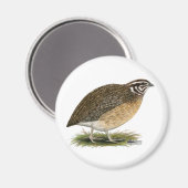Coturnix Pharaoh Quail Magneet (Voorkant / Achterkant)