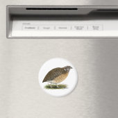 Coturnix Pharaoh Quail Magneet (Insitu (Vaatwasser))