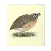 Coturnix Pharaoh Quail Notitieblok (Voorkant)