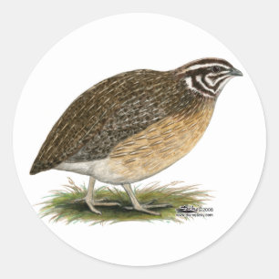 Coturnix Pharaoh Quail Ronde Sticker