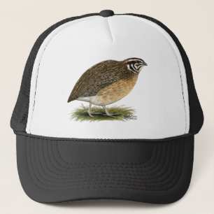 Coturnix Pharaoh Quail Trucker Pet