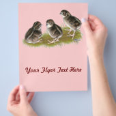 Coturnix Quail Chicken Flyer (Hand)