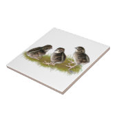 Coturnix Quail Chicken Tegeltje (Zijkant)