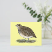 Coturnix Quail Hen Briefkaart (Staand voorkant)