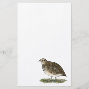 Coturnix Quail Hen Briefpapier