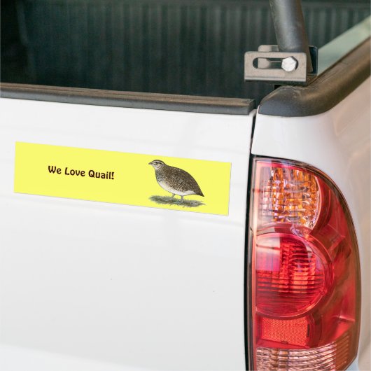Coturnix Quail Hen Bumpersticker (Op Truck)