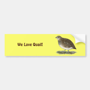 Coturnix Quail Hen Bumpersticker