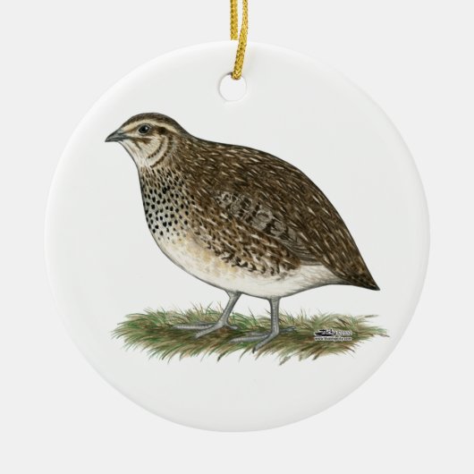 Coturnix Quail Hen Keramisch Ornament (Voorkant)