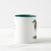 Coturnix Quail Hen Mok (Midden)