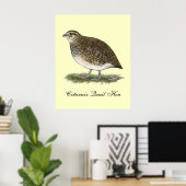 Coturnix Quail Hen Poster (Thuiskantoor)
