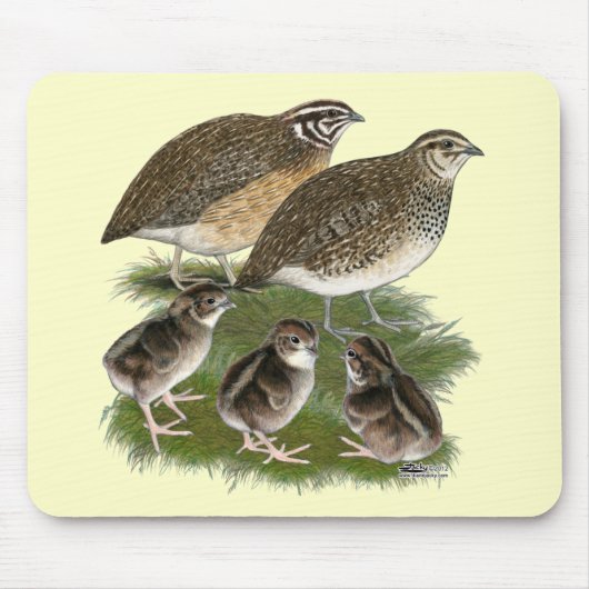 Coturnix Quail Muismat (Voorkant)