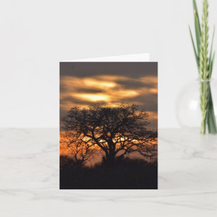 Coucher de soleil