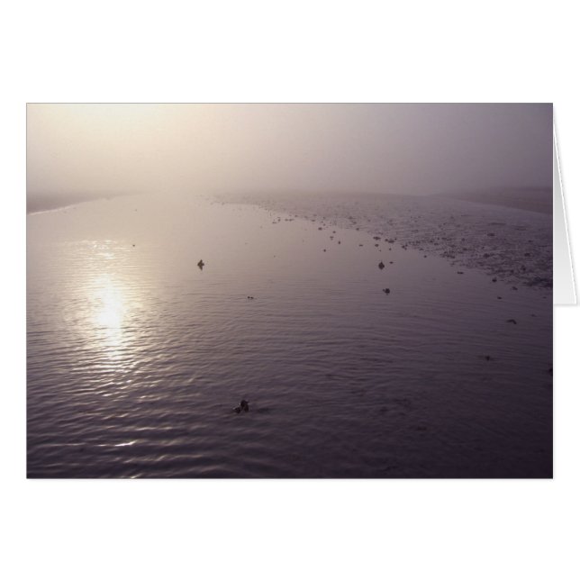 Coucher de soleil (Devant horizontal)