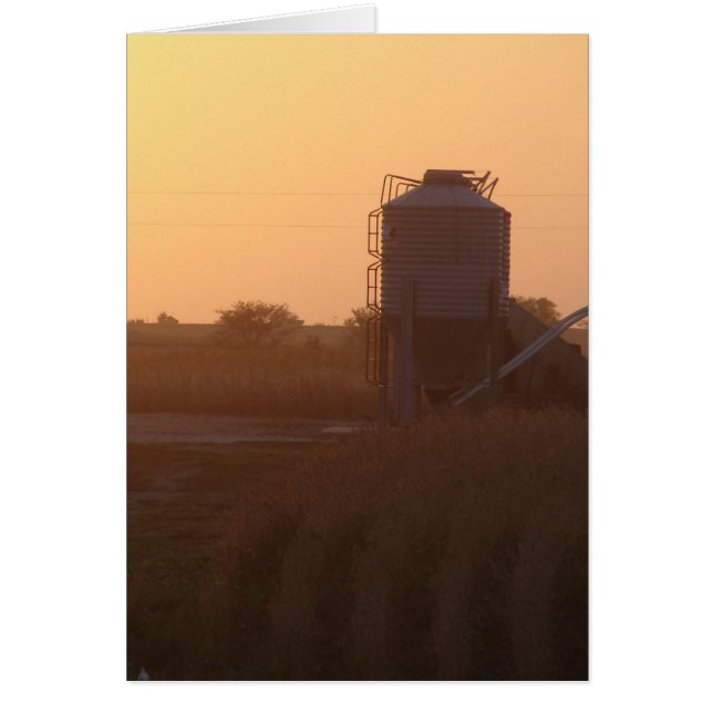 Coucher De Soleil À La Récolte (Devant)