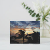 Coucher De Soleil À Travers La Carte Postale Palms (Debout devant)