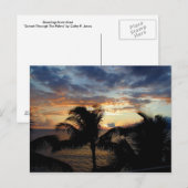 Coucher De Soleil À Travers La Carte Postale Palms (Devant / Derrière)