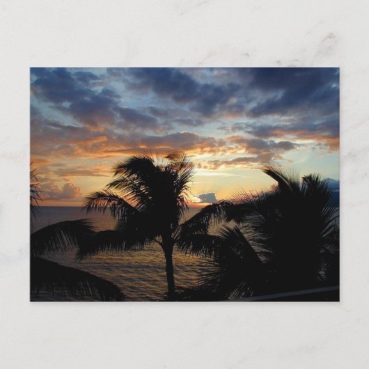 Coucher De Soleil À Travers La Carte Postale Palms (Devant)