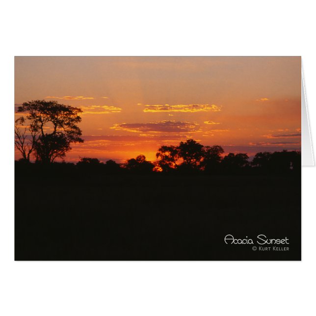 Coucher de soleil Acacia (Devant horizontal)