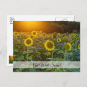 Coucher de soleil au champ de tournesols Carte de  (Devant / Derrière)