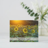 Coucher de soleil au champ de tournesols Carte de  (Debout devant)