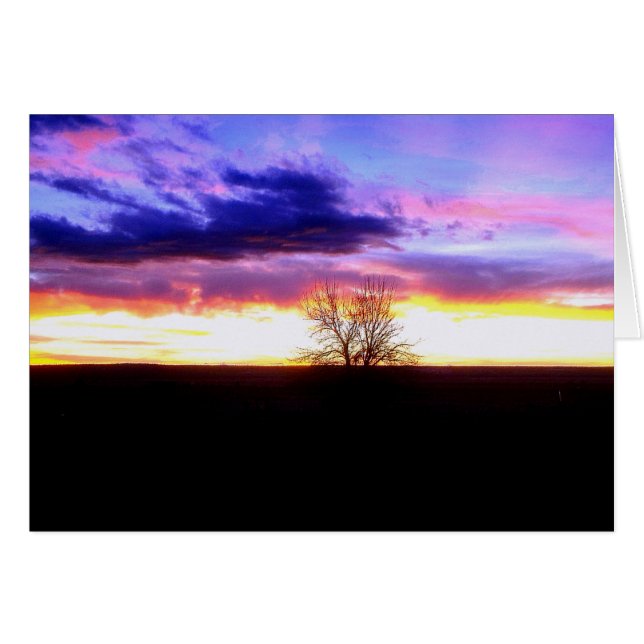 Coucher de soleil au-delà de l'arbre_ (Devant horizontal)