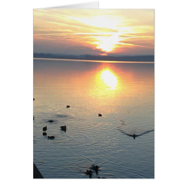 Coucher de soleil avec canards dans le lac, carte  (Devant)