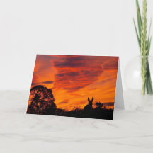 Coucher de soleil avec carte de voeux Donkey Silho