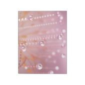 Coucher de soleil dans le Bloc-notes en cristal (Tourné)