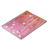 Coucher de soleil dans le Carnet de cristal (Côté gauche)