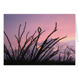 Coucher de soleil dans les lavandes